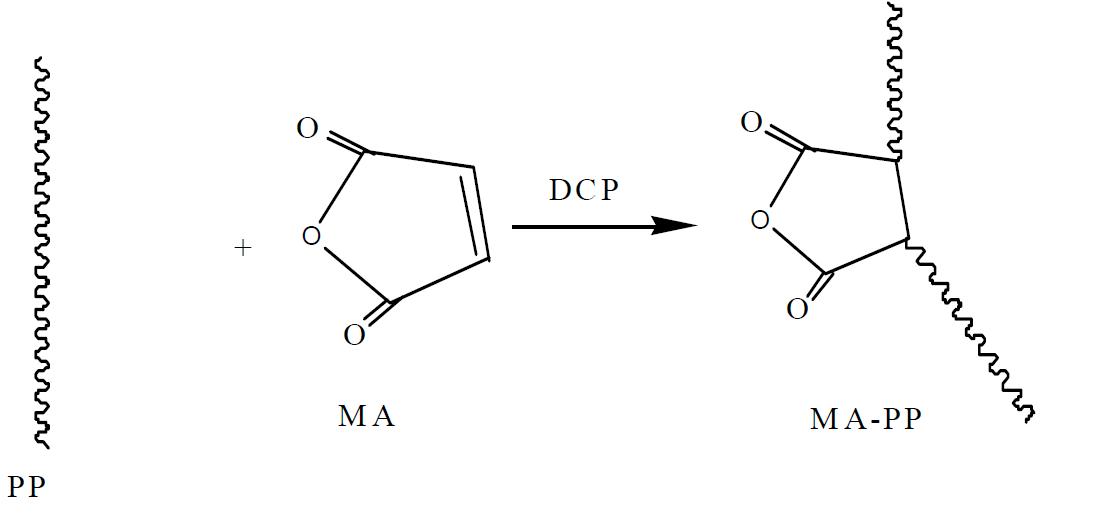 PP-g-MA 반응 메카니즘