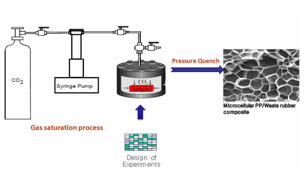 Batch Microcellular Foaming Process