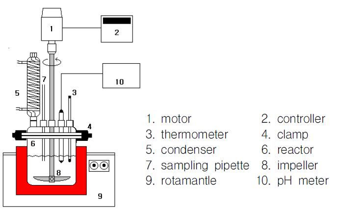 Schematic diagram of stirred tank reactor system.