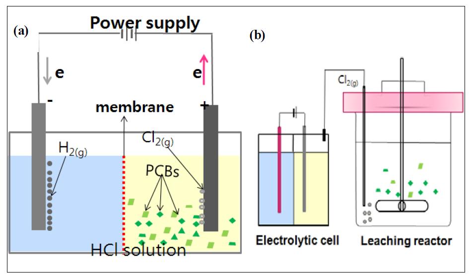 Schematic diagram of the apparatus: (a) combined reactor and (b) separate reactor.