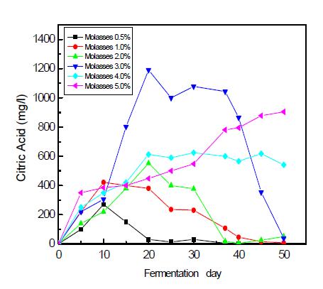 당밀농도에 따른 Citric acid의 생성
