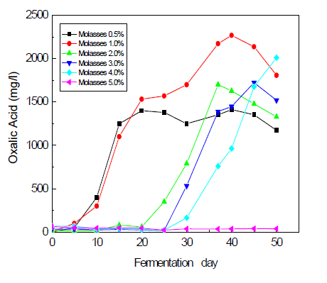 당밀농도에 따른 Oxalic acid의 생성