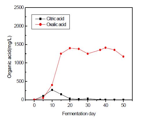 Production of organic acids at 0.5% molasses