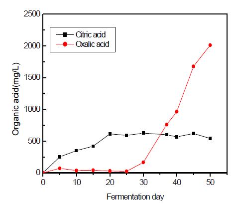 Production of organic acids at 4.0% molasses