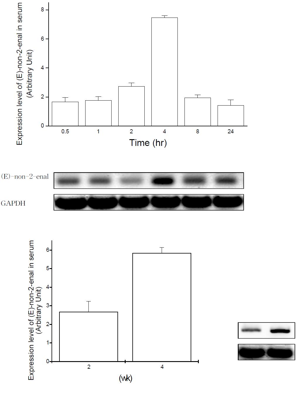 Expression level of (E)-non-2-enal in rat serum after oral administration of HNE.