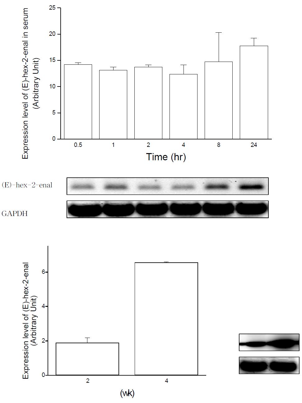 Expression level of (E)-hex-2-enal in rat serum after oral administration of HNE.