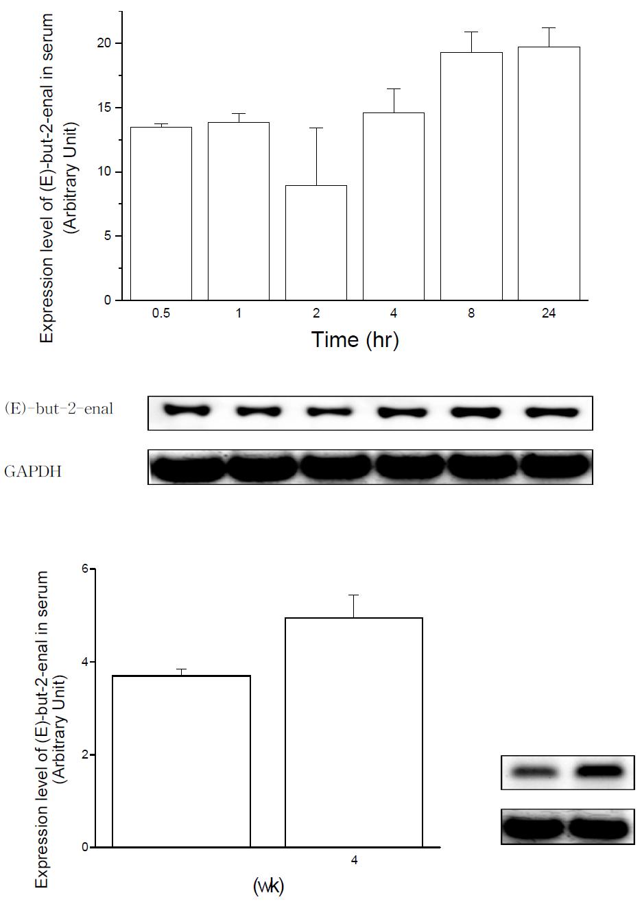 Expression level of (E)-hex-2-enal in rat serum after oral administration of HNE.
