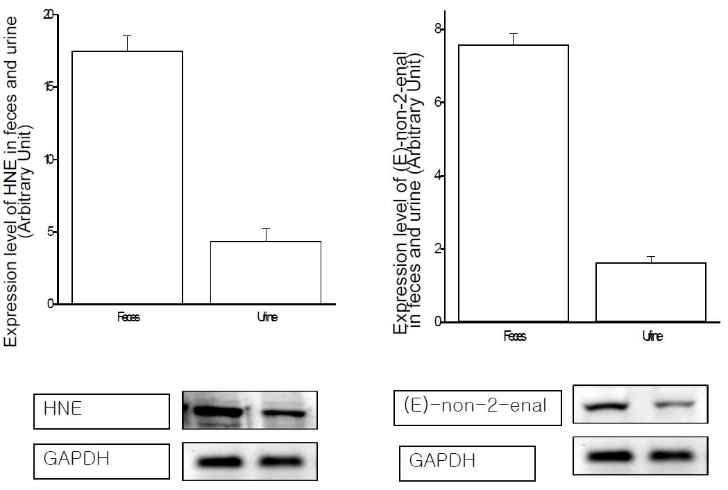 Expression level of HNE and (E)-non-2-enal in feces and urine after oral administration of HNE.