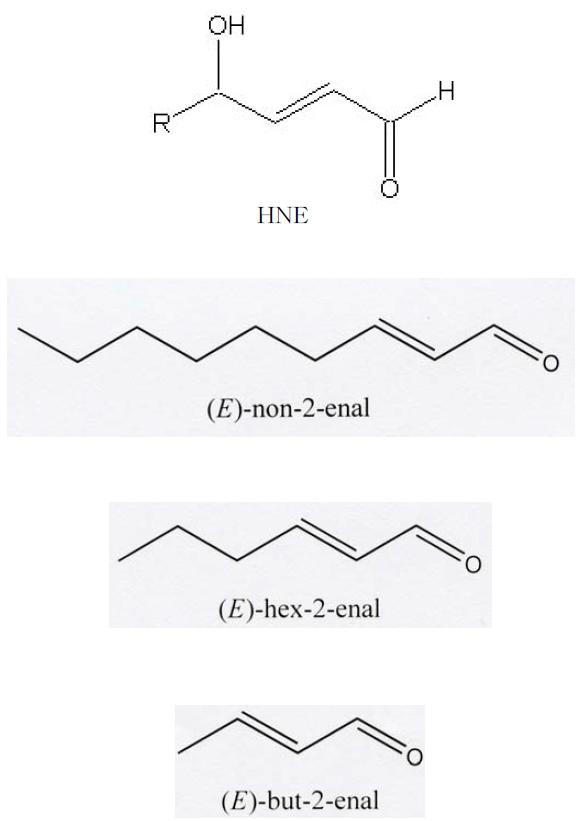 Synthesized HNE and HNE-metabolites.