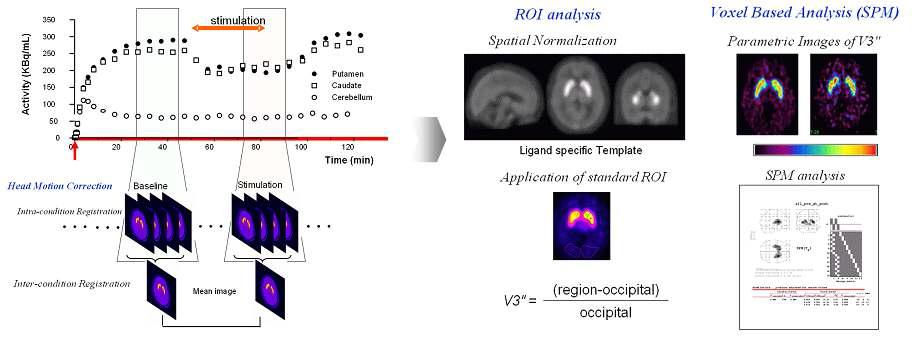 Standardized analysis protocol developed for this study