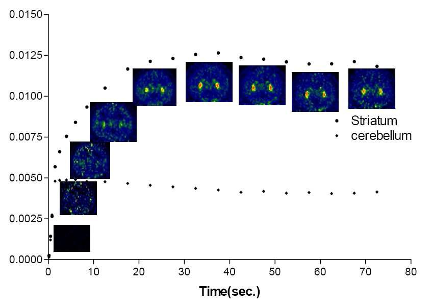 Representative time activity curves of striatal [11C]raclopride radioactivity during 80 minutes after ligand injection