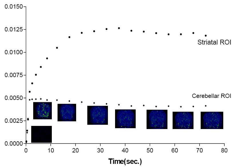 Representative time activity curves of cerebellar [11C]raclopride radioactivity during 80 minutes after ligand injection