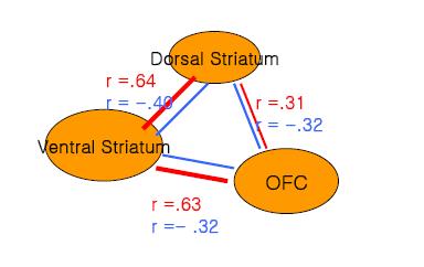 functional connectivity map of reward processing related neural network. controls in black and addicts in blue.