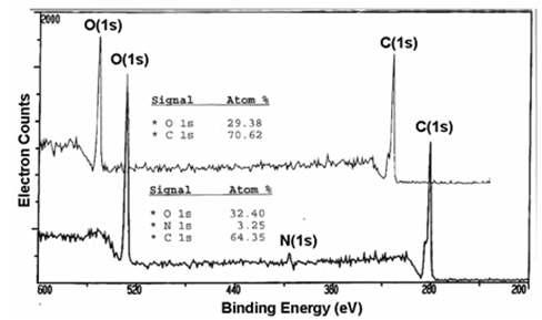 콜라젠 반응 전 (위)과 반응 후 (아래)의 XPS 스펙트럼