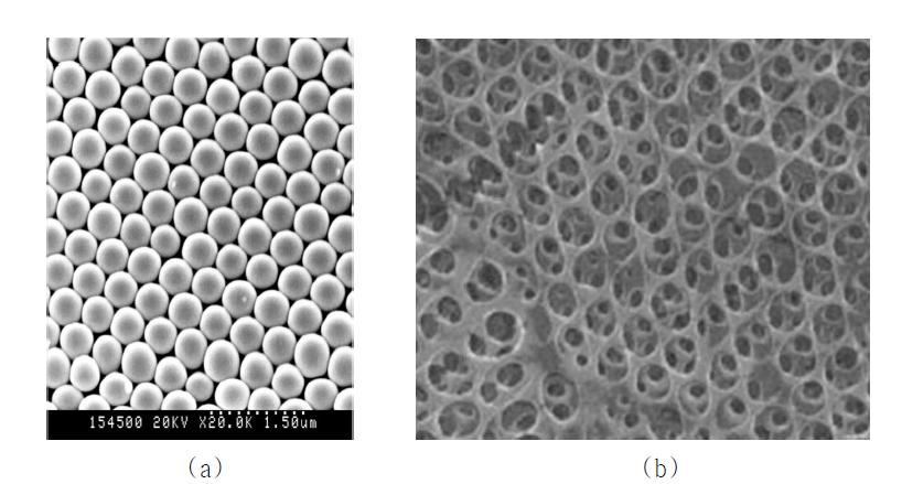 다공성 하이드로젤 제조에 사용된 실리카 나노입자 (a) 및 제조된 다공성 하이드로젤 (b)의 SEM 이미지.