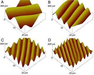 PDMS 기판의 modulus에 따른 buckling 파장 변화. PDMS의 crosslinker/prepolymer: (A) 0.025 (B) 0.05 (C) 0.1 (D) 0.5