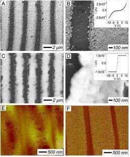 buckilng 패턴을 이용하여 전사된 나노 입자들. (A∼D) : Au nanoparticles, (E, F) : Fe2O3 nanoparticles