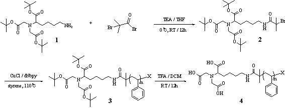 t-butyl-terminated polystyrene (PS-t-Bu) 와 NTA-terminated PS (PS-NTA)의 합성과정