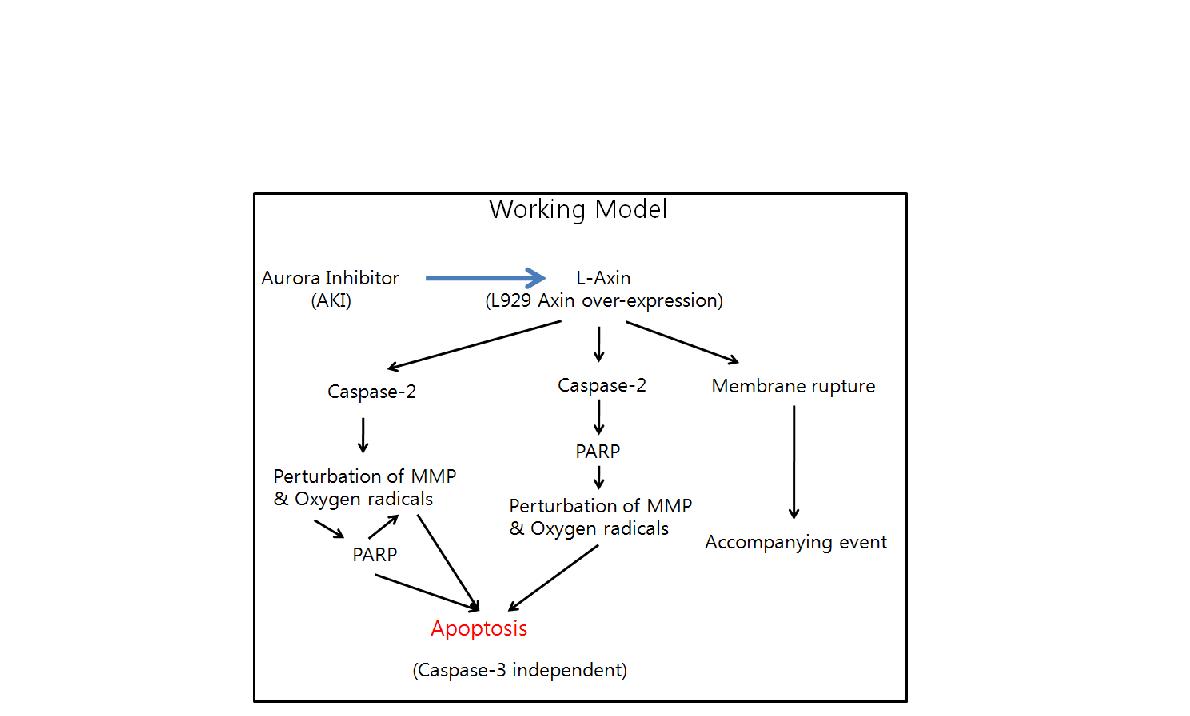 Proposed Working model