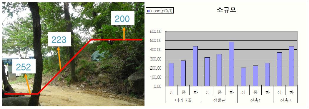 소규모 지형구배에 따른 라돈농도 변화