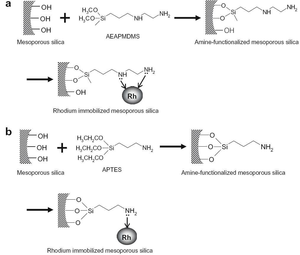 (a) AEAPMDMS와 (b) APTES에 의한 메조포러스 물질의 표면 기능화와 로듐 담지 메커니즘