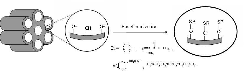 다양한 실란 그룹을 이용한 MTS 표면의 개질