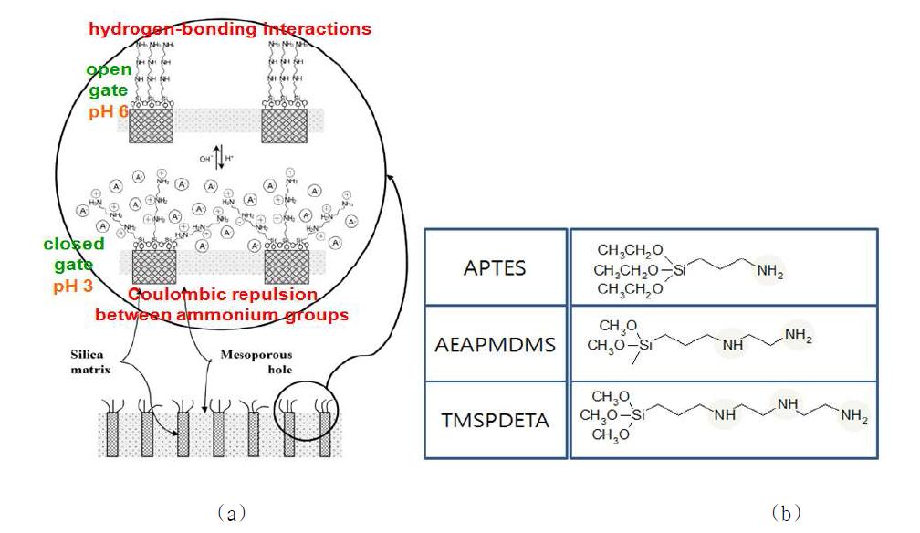 분자 gate의 개념적인 도식 (참고문헌 [36]), (b) 본 연구에 사용된 다양한 아미노 알콕시실란