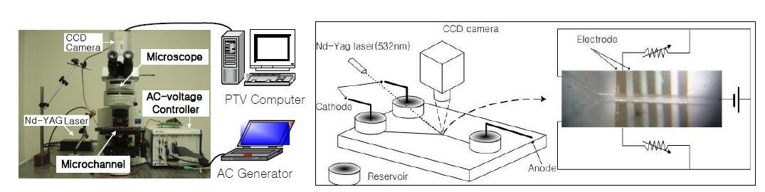 Experimental apparatus for visualization of the electro-osmotic flow and AC-EOF in microchannels.