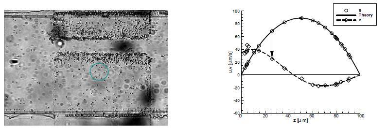 A pair of bottom ITO electrodes (photo) and the measured flowvelocity profile across the channel (plot).