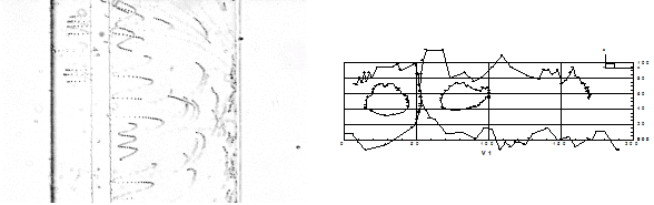 Photo of particle trajectories taken from top (left) and particles trajectories at a cross section estimated from the photo (right).