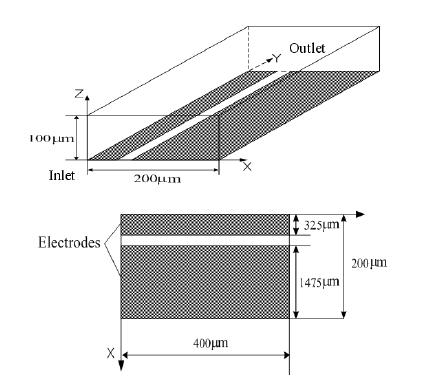 Schematic diagrams of the flow geometry and electrode array.