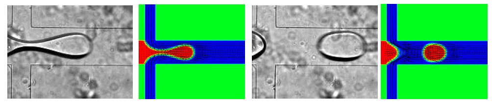Experimental and numerical results of droplet formation in a cross-shape micro-channel.