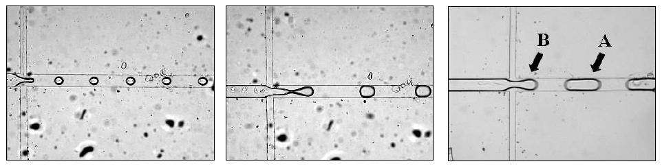 Variation of droplet generation in a cross-type microchannel depending on the amount of surfactant and flow-rate ratio.