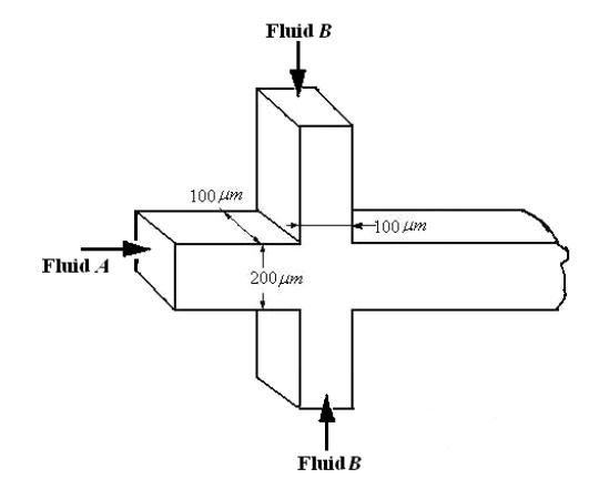 3D cross-junction microchannel.