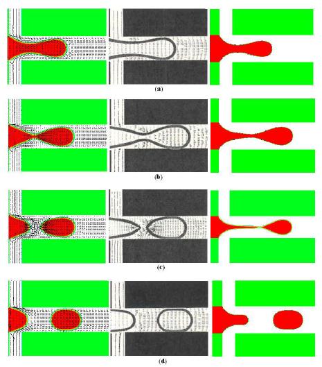 Comparison of numerical results with experimental ones.