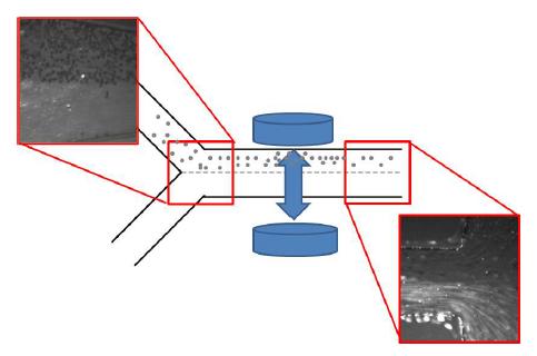 Motion of magnetic particles according to the reciprocal movement of a permanent magnet.