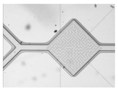 The shape of a microchannel with a mixing chamber of diamond shape.