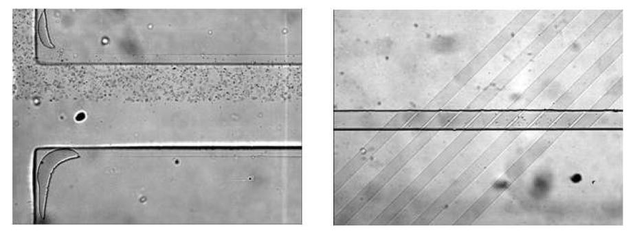 Passive particles flowing through the T-channel for the experiment of mixing enhancement (LHS) caused by ac electro-osmosis with inclined ITO electrode pattern on the channel bottom wall.