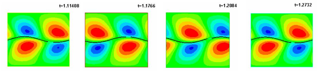 Snapshots of filament(organism) and flow field at four different time instants in a period.