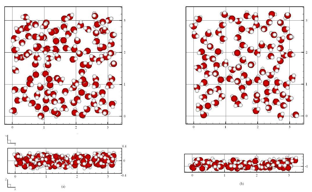 The snapshots of the water molecules’ scatter obtained from the MD simulation at the time t = 0.5 ns showing top (upper) and side (lower) views