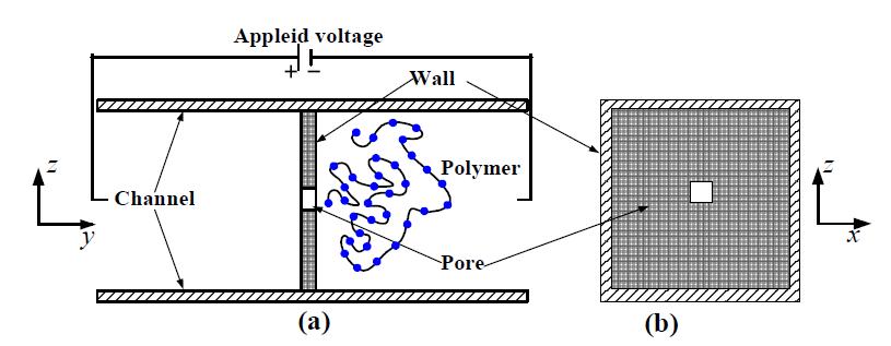 Cross-sectional view of the simulation set-up at the center of (a) YZ-plane and (b) XZ-plane.