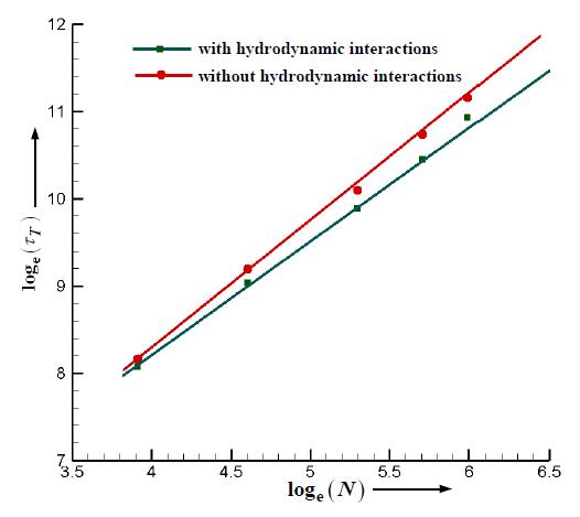 Translocation time versus the number of beads with and without the hydrodynamic motion.
