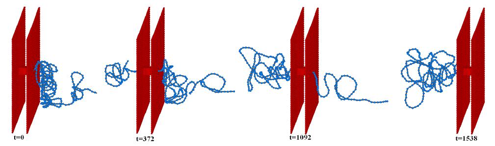 Polymer configuration (N=300) of a typical translocation event at different times