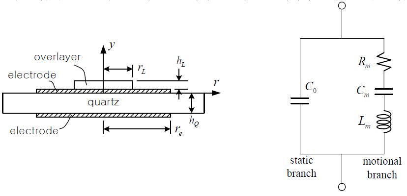 Sketch of a quartz crystal resonator with electrodes on both sides and a viscoelastic overlayer attached on the external surface of the top electrode (LHS), and the equivalent electric circuit (RHS).