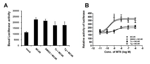 Change of CRE-mediated reporter gene transcription activity of MC4R by ER stress