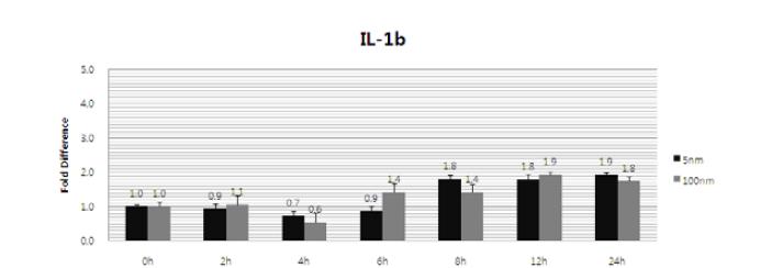 IL-1b 표현 측정