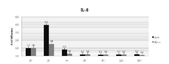 IL-8 expression level