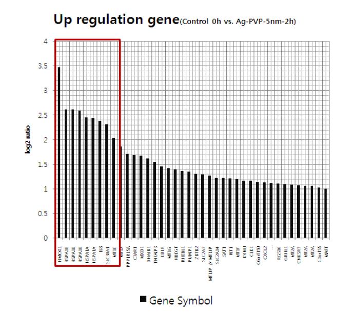 나노물질 처리 후 증가한 유전자