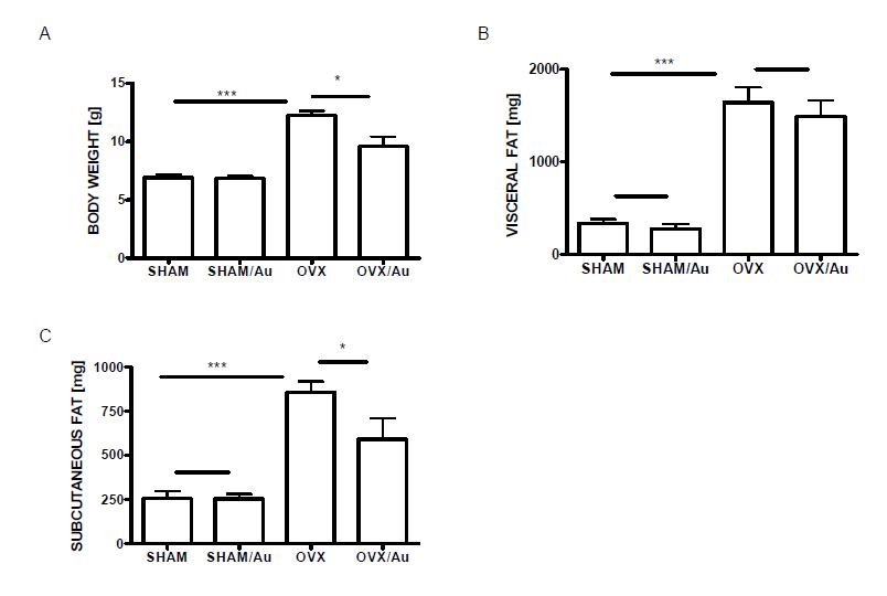OVX-induced bone loss model에서 sham, OVX surgery후 8주간 vehicle, Gold Nanoparticle (20 ug/mice)투여후 증가된 body weight (A), visceral fat mass (B)와 subcutaneous fat mass (C)