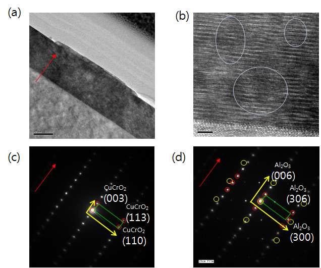 10mTorr 산소분압, 700℃에서 증착한 CuCr0.95Mg0.05O2 박막의 TEM 및 SAED 이미지